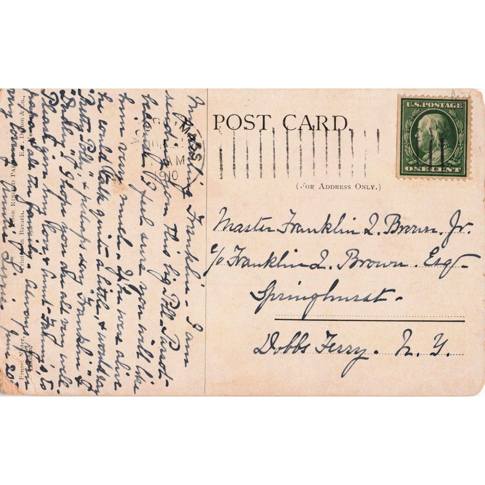 Vintage 1910 Rose-Ringed Parakeet Postcard Ernest Nister Bird Illustration - Picture 2 of 2